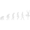 L'évolution des ballerines