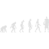 L'évolution du basket-ball