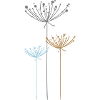 Fleur - Plante - Fleur