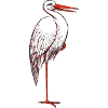 stork15