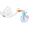 stork40