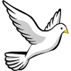 dove93