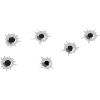bullet