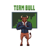 Team Bull