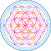 Flower of life red-blue