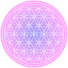 Flower of life pink purple