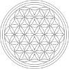 Flower of life in silver