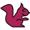 squirrel