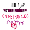 Veterinarian
