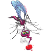 Mosquito Sucking Blood