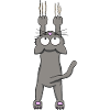 Chat gris