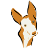 Podi