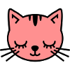 Cute Cat Face