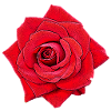 bande dessinée rouge Rose