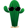 Cool Cactus