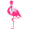 Flamingo pink sommer pink fugl animalske vandfugl