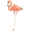 Flamingo solo