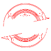 Schwager Schwäger Geschenk Geschenkidee