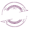 Schwester Schwesterherz Geschenk Geschenkidee