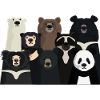 Bears of the world