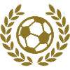 soccer football ball deluxe