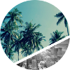 Beach and city