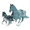chevaux chevaux