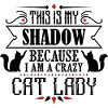 Crazy Cat Lady