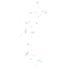 Pusteblume Design 5