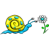 Snail with flower
