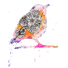 Vogel