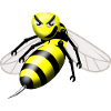 wasp
