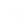 dormilón racoon
