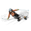 ski