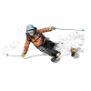 ski
