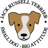 Jack Russell Terrier