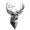 Hirsch mit Sonnenbrille
