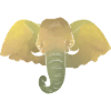 elephant head