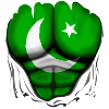Pakistan Drapeau Déchiré Musculaires