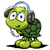 tortue