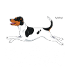 Terrier Brésilien Diamonds3