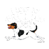 Terrier Brésilien Love8