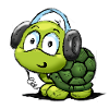 schildkroete_02