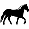 horse
