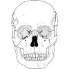 Hallowee n754