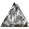 Triangular palm trees