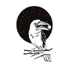 TUCAN AMAZONIA