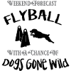 Flyball Weekend Forecast