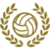 volleyball deluxe