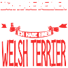 WELSH-TERRIER - kein Hund